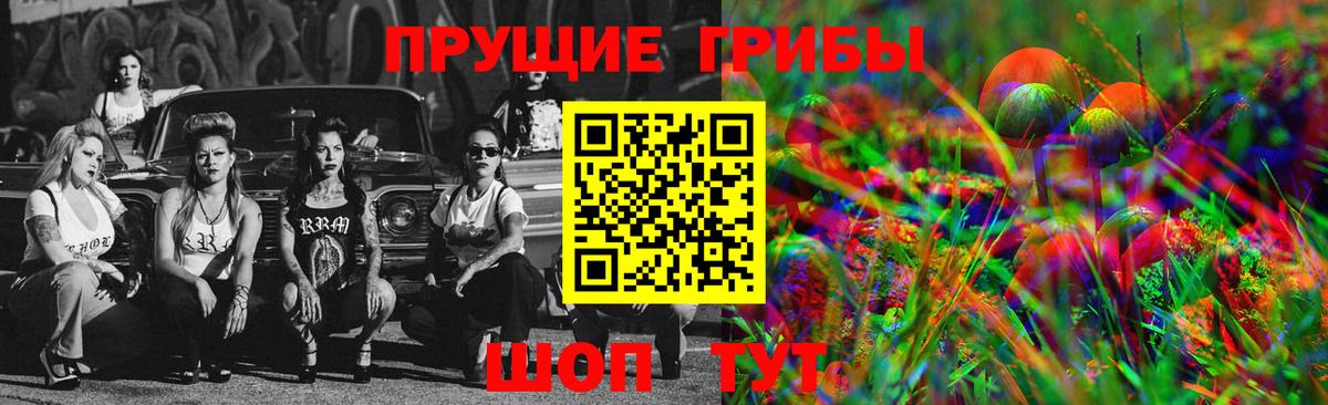 Галлюциногенные грибы Cubensis  Вход с VPN  Самара 